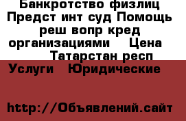 Банкротство физлиц Предст инт суд Помощь реш вопр кред организациями  › Цена ­ 500 - Татарстан респ. Услуги » Юридические   